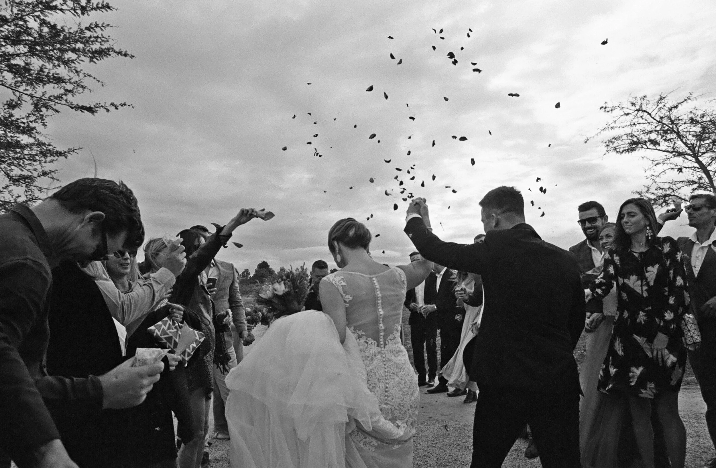Wedding_08238478859.jpg