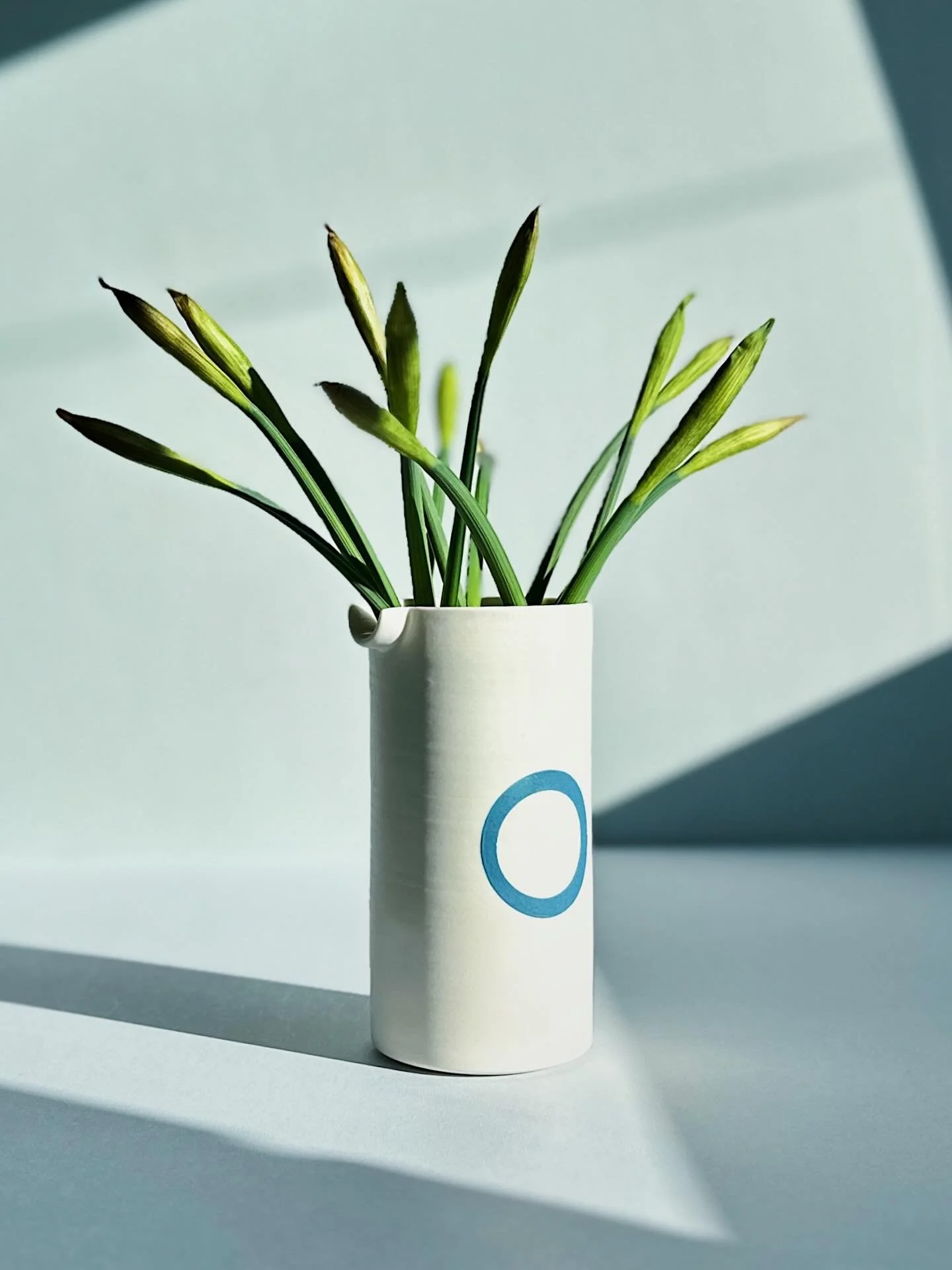 The &pound;1 supermarket daffodil season is upon us and I love it! Sunshine in a vase, or in this case one of my porcelain pourers with a slip circle 
.
.
.
.
.
#handmade #wheelthrown #porcelain #porcelainpottery #carshaltonartists