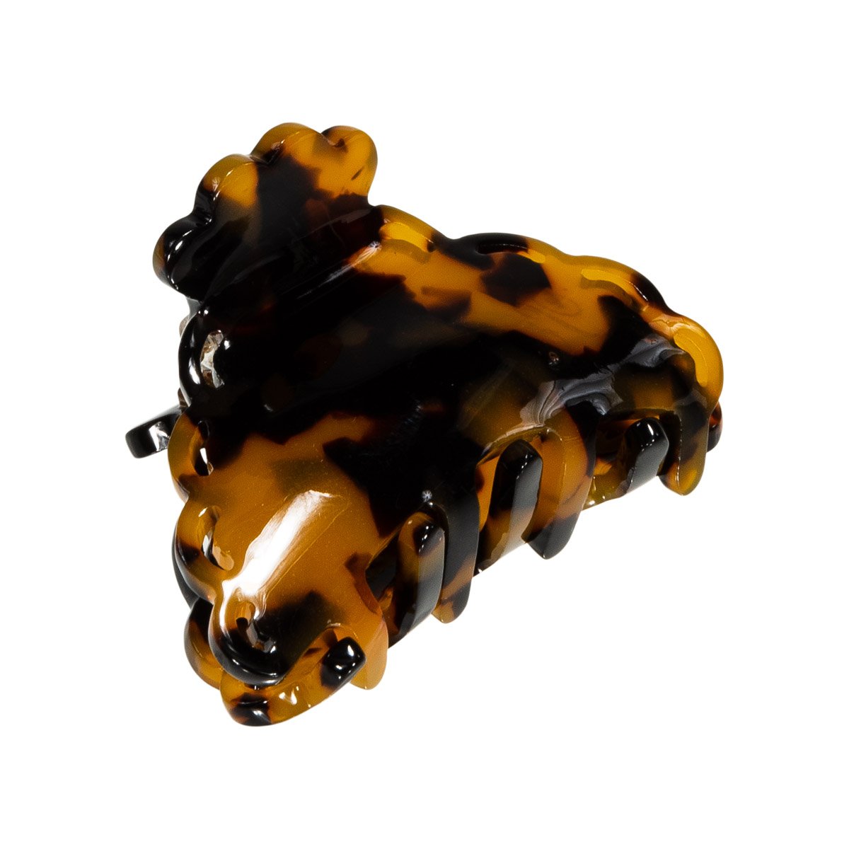 Small Elly Claw Leo.jpg