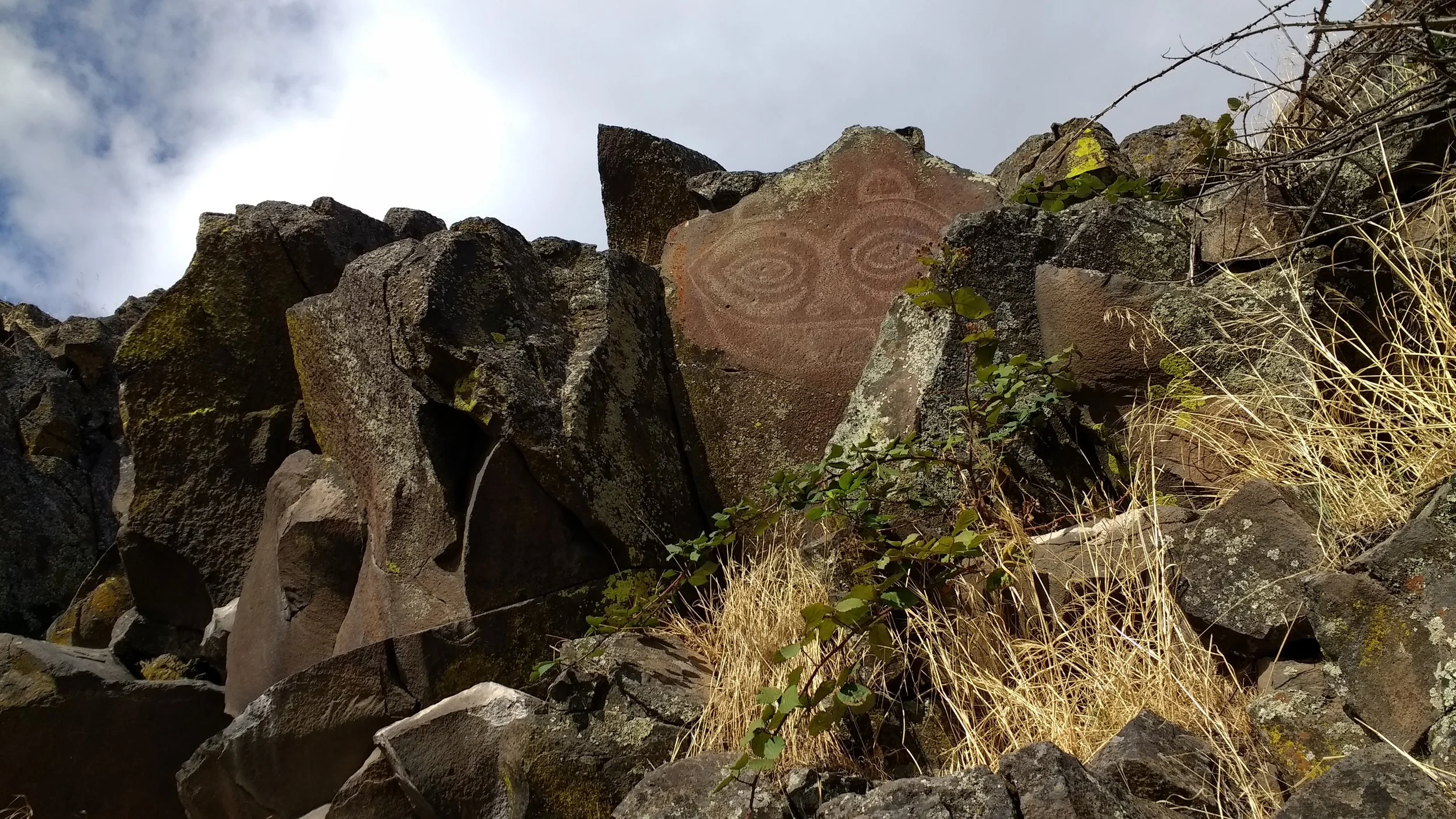 ‘The Eyes Have It’ Exploration