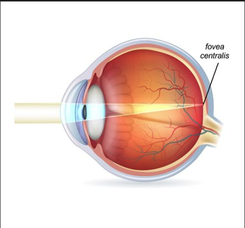 Definitions &amp; Research