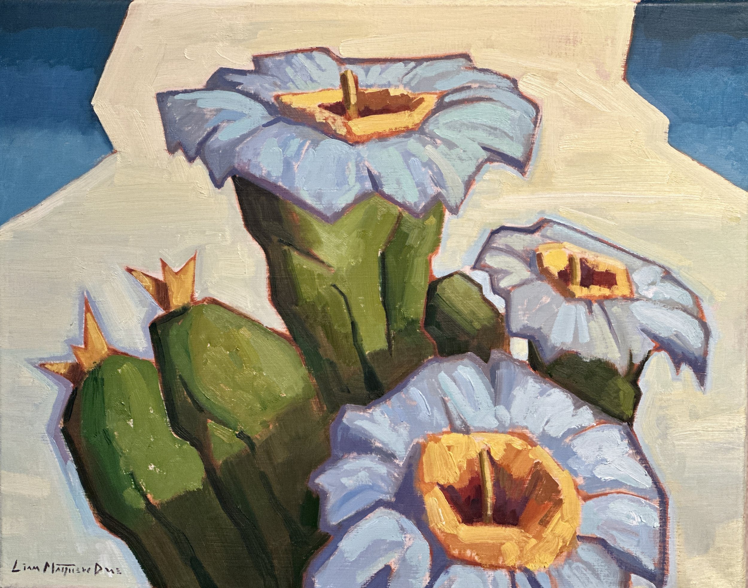 "Cloud Blossoms" Oil 16 x 20"