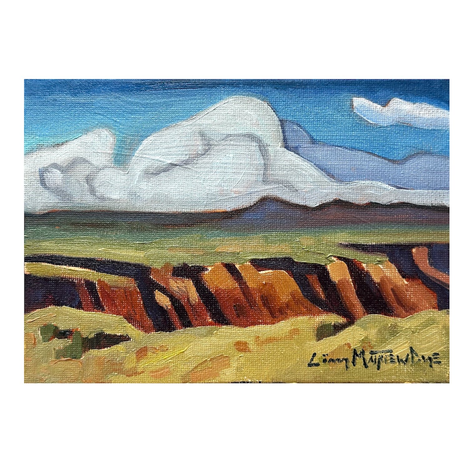 "Desert dream"