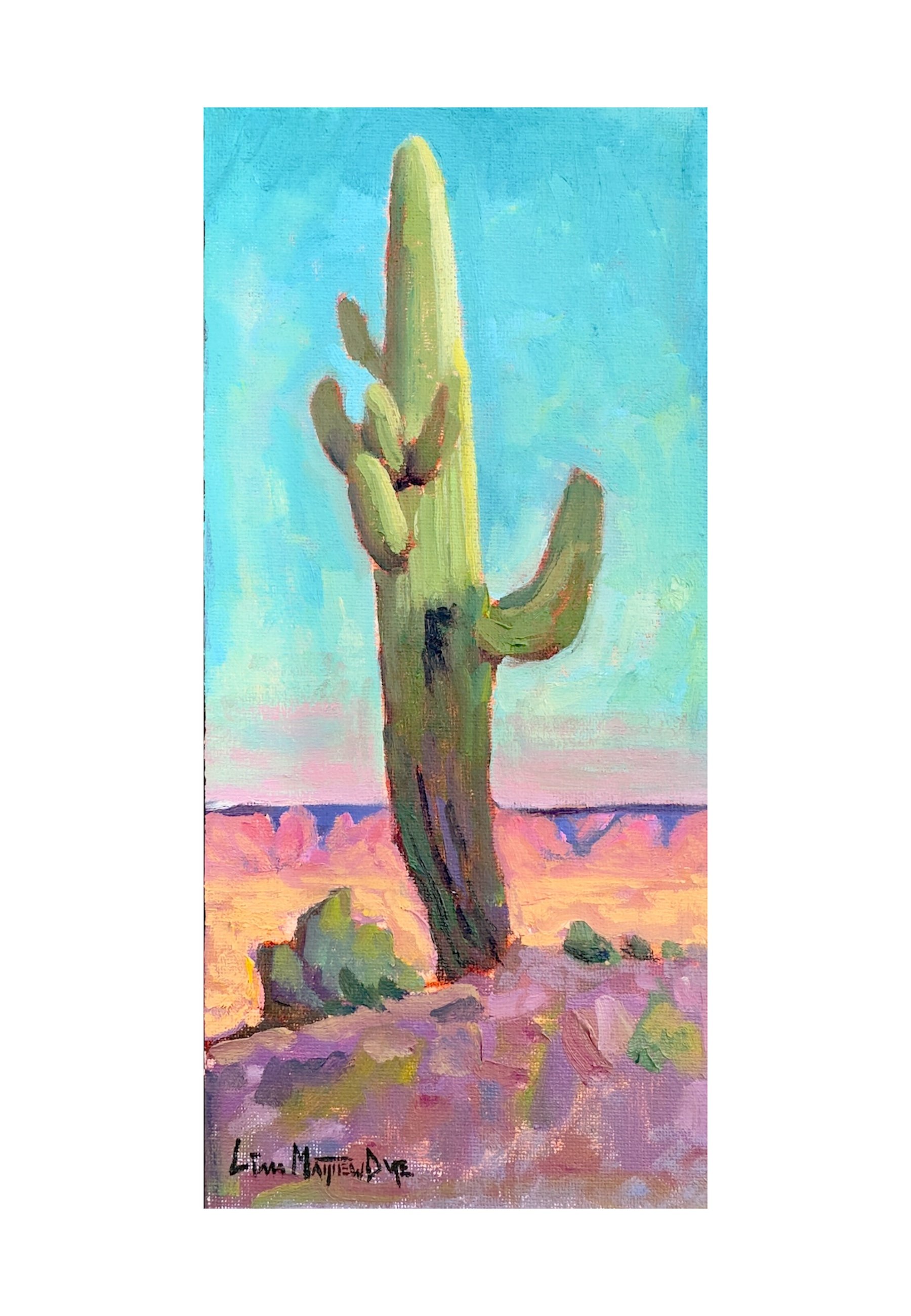 "Saguaro Study" oil 5 x 11