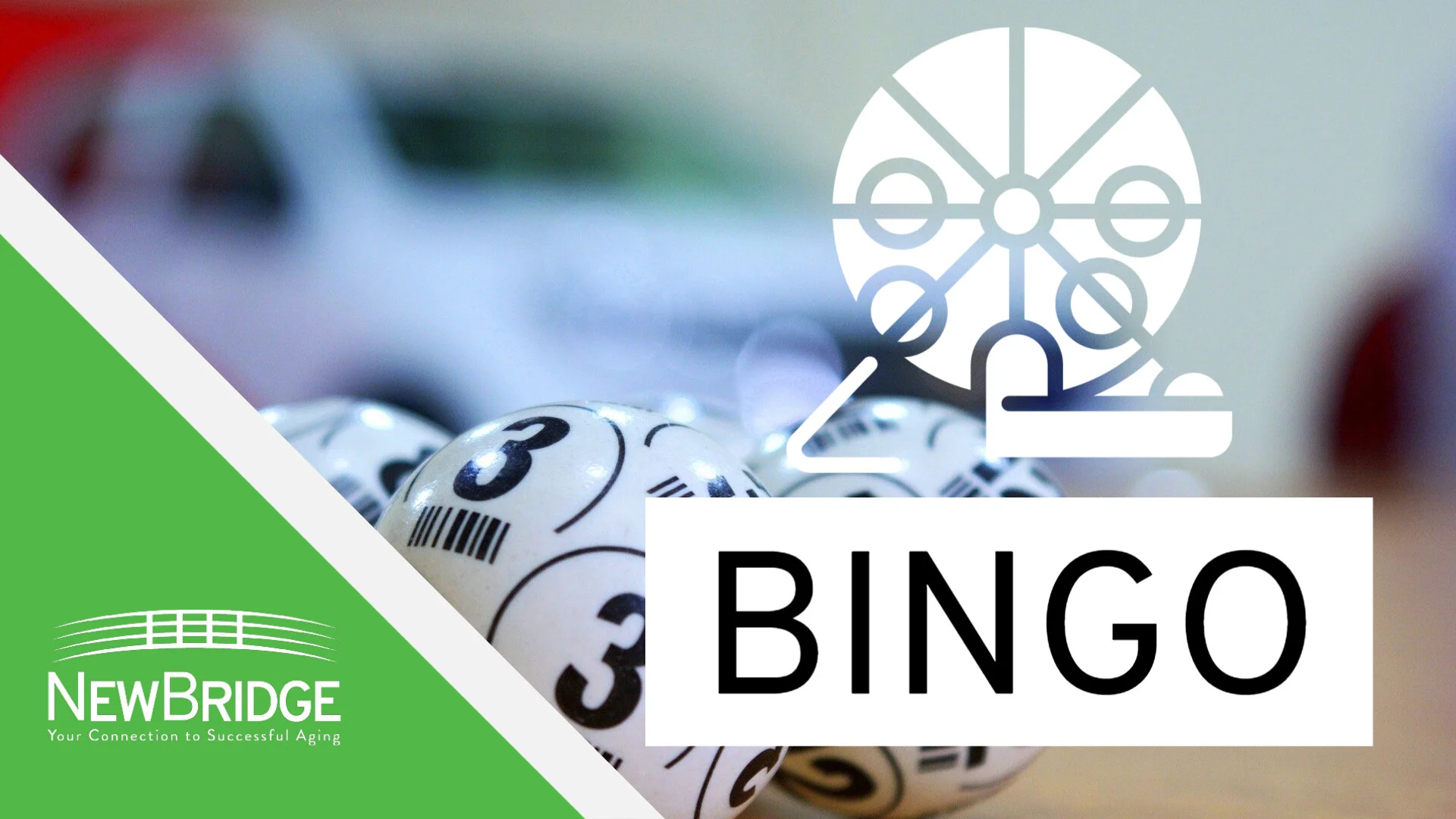 BINGO! - IN-PERSON