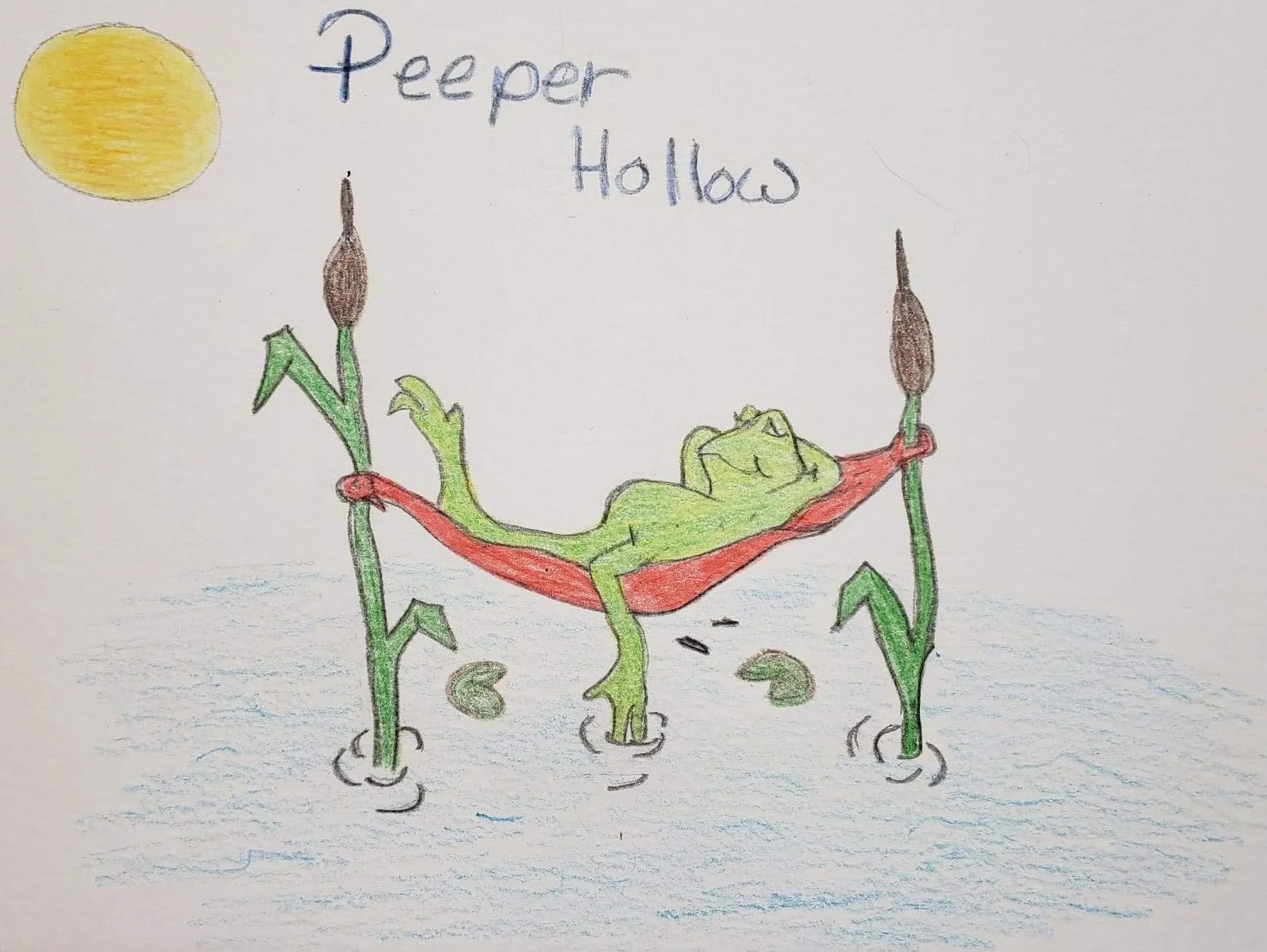 Colorful drawing of a frog relaxing on a hammock made of red leaves between two tall green plants with brown flowers, under a yellow sun in the sky, with blue sky and water below.