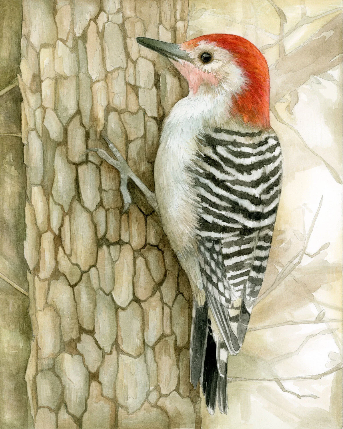  Red-bellied Woodpecker  Watercolor on Watercolor board  10 x 8 inches  2020  SOLD 