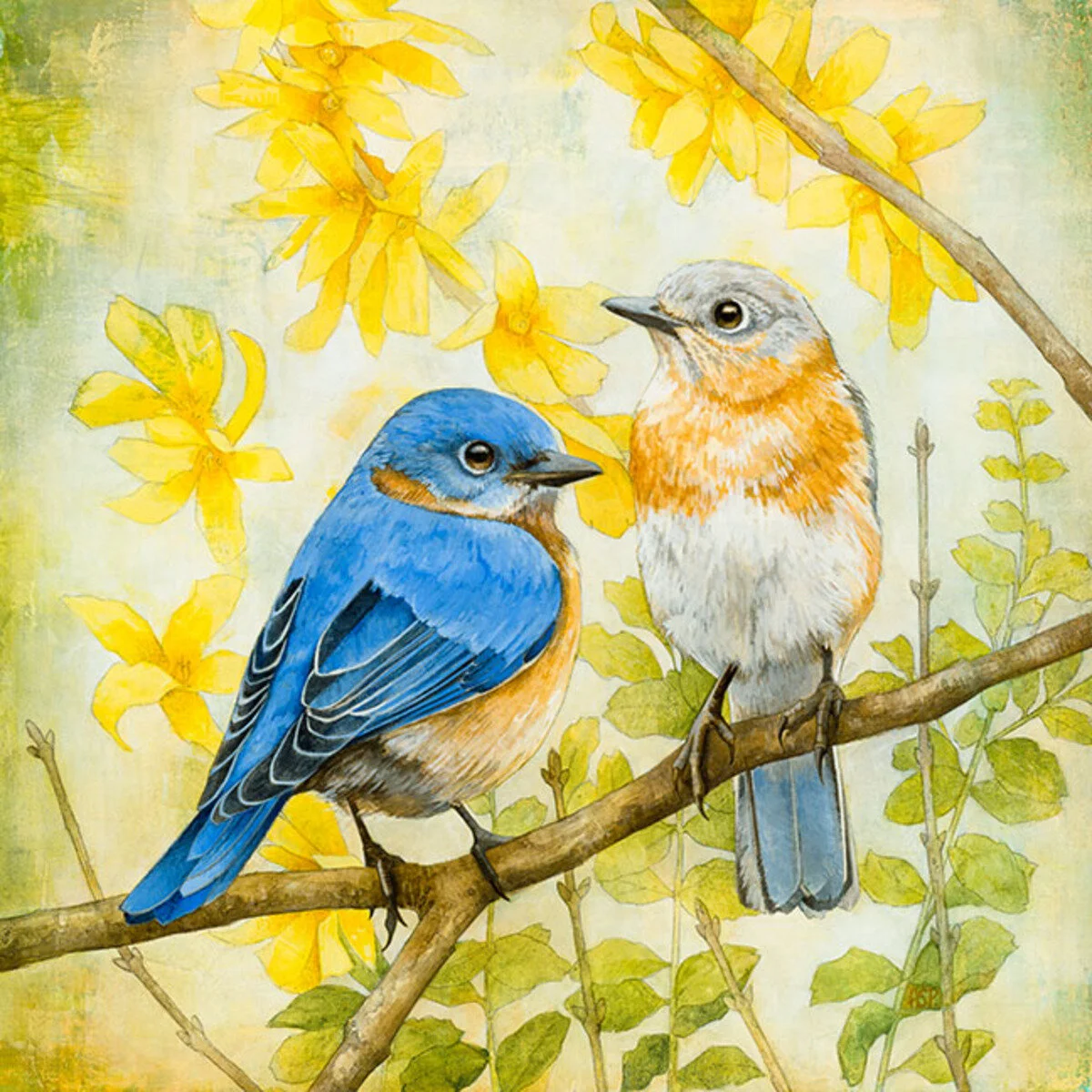   Eastern Bluebirds 
 Acrylic on Wood Panel 
 14x14 inches 
 2020  