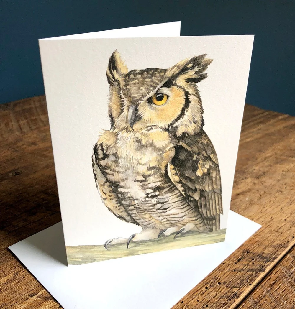 6Pc Bug Art Embossed Blank Greeting Cards - One Design Per Pack - Otto Owl