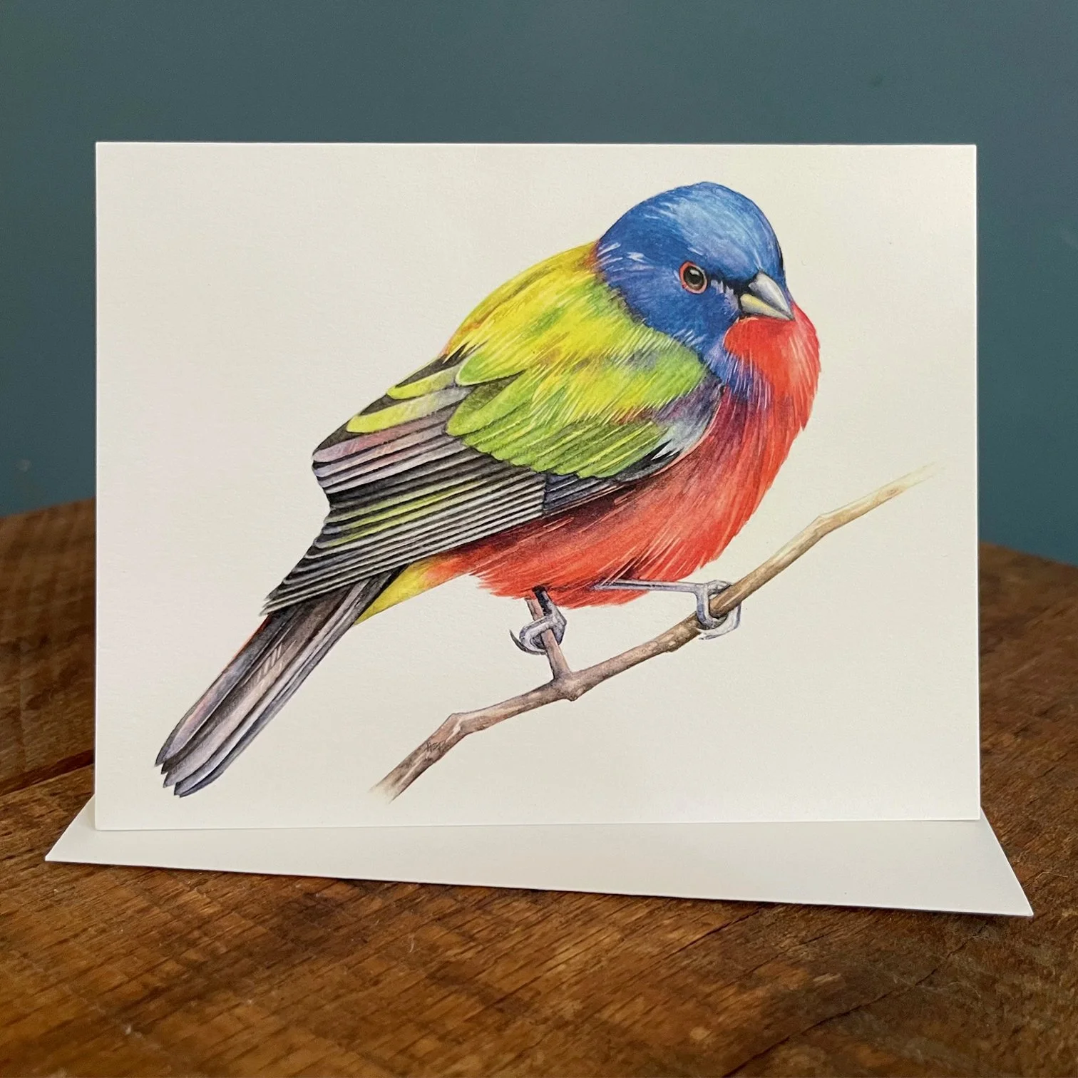 PaintedBunting_1.jpg