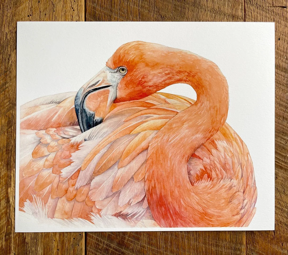 Flamingo8x10_1.jpg