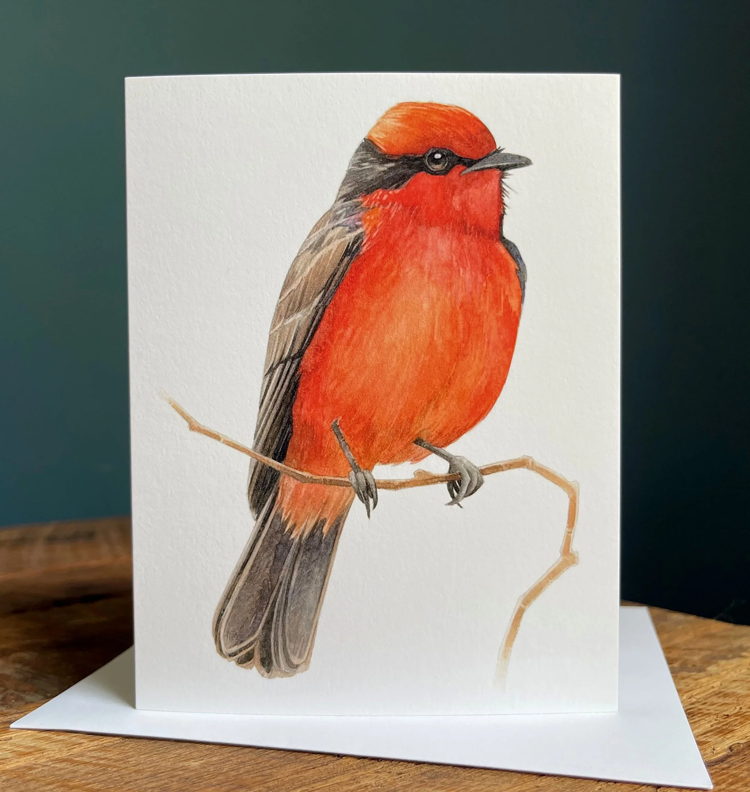 Vermilion Flycatcher - Blank Note Card