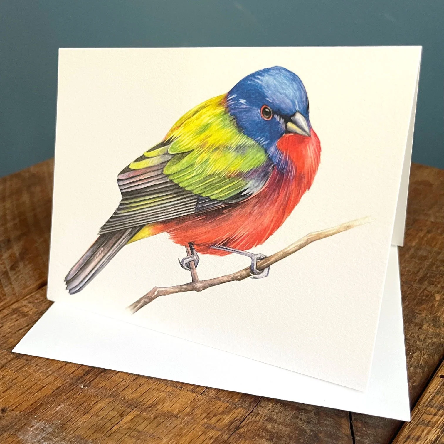PaintedBunting_2.jpg