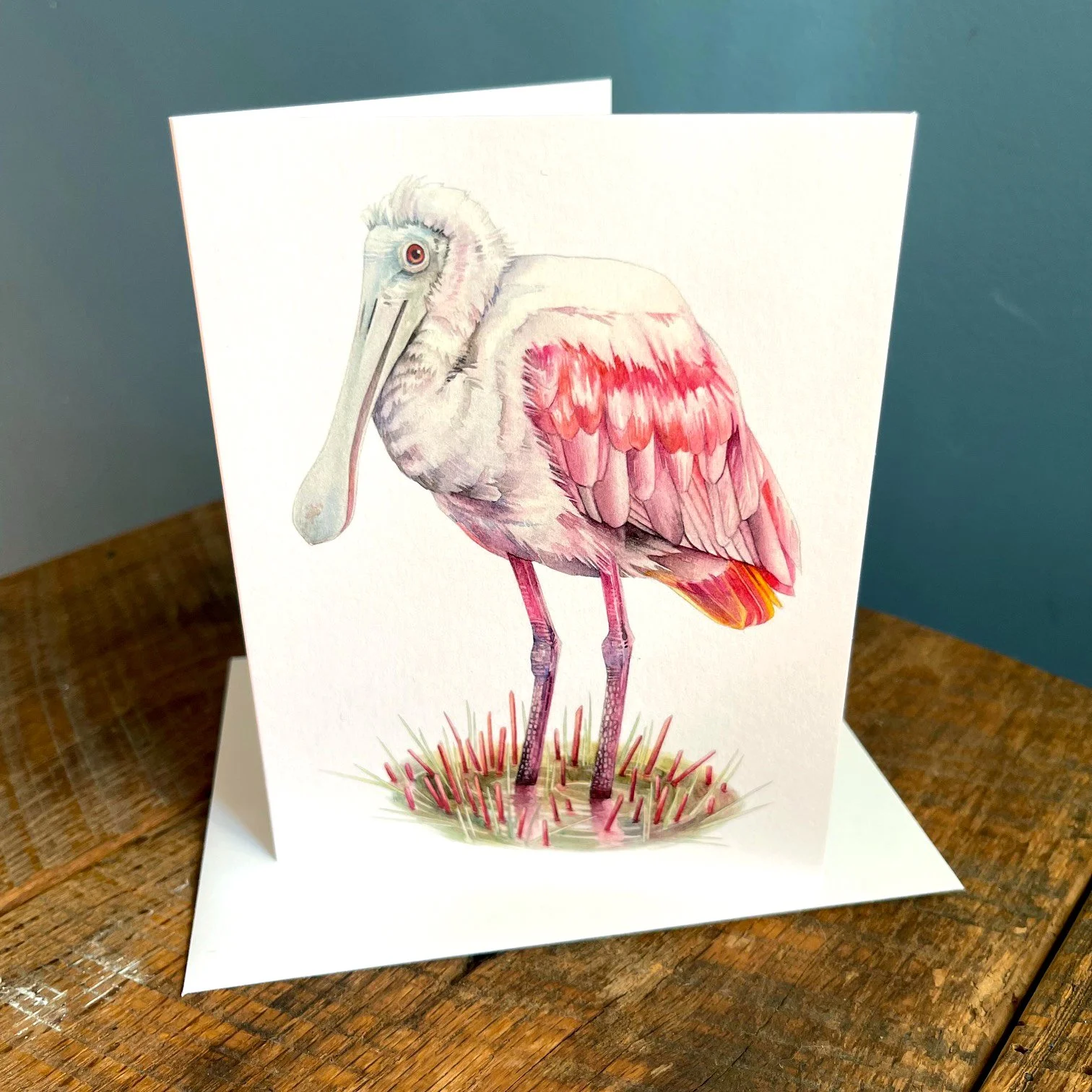 Spoonbill_1.jpg