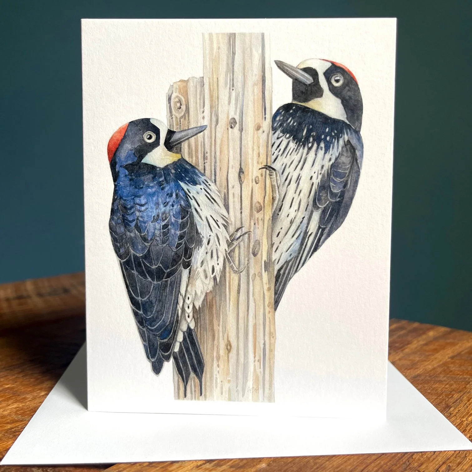 AcornWoodpeckers_2.jpg