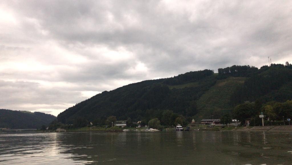 SUL BEL DANUBIO BLU- THE BAFFLING BLUE DANUBE By M. Spizzichino