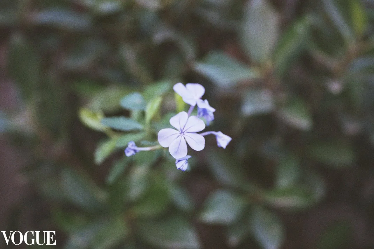 next e6c40ab0-fb35-11ee-b6d3-178b74266a3c_gallery.jpg