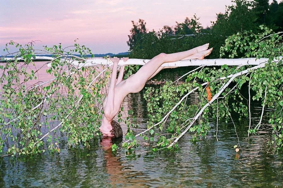 Synchrodogs Spazio Punch2.jpg
