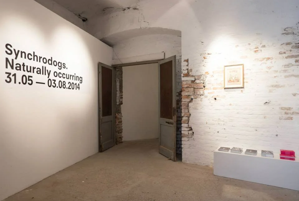Synchrodogs Spazio Punch5.jpg