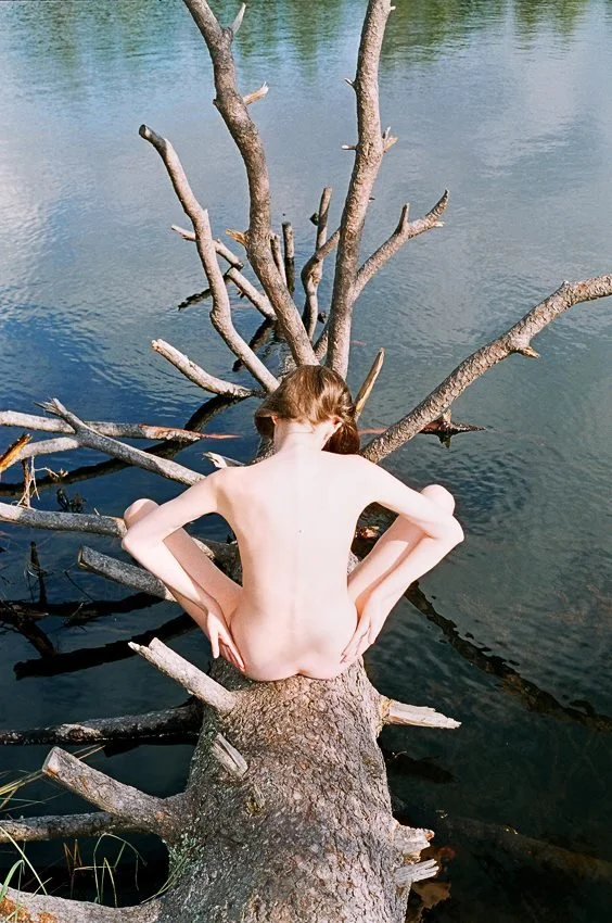 Synchrodogs Spazio Punch3.jpg