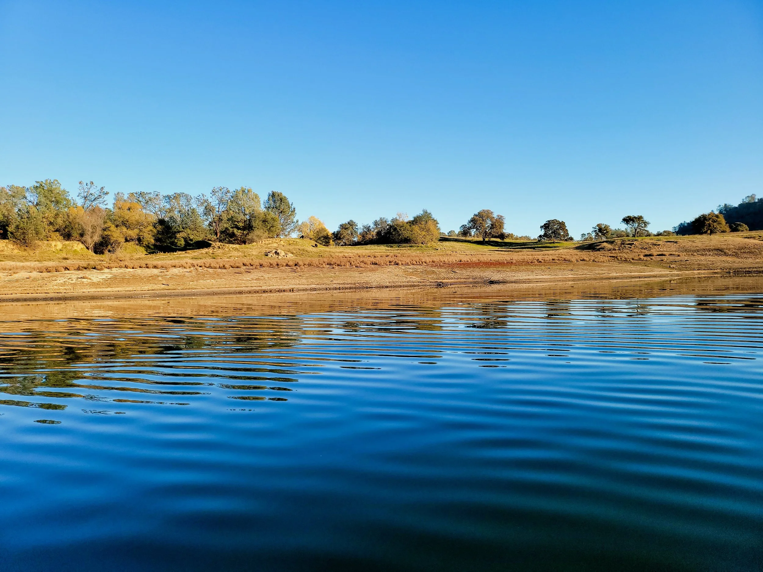 Rules & Regulations — Lake Camanche Recreation Camping in Lake