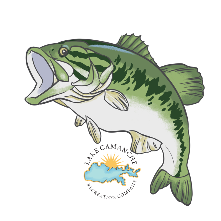 NewFishStickers_Cam.png?format=750w