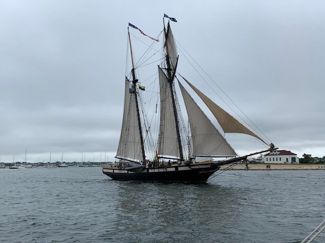 The replica of the privateer Lynx. Gunboat for the Opera House Cup