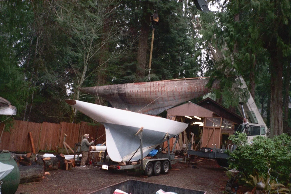 Goose and Llanaria nesting on the Hofmann yard.