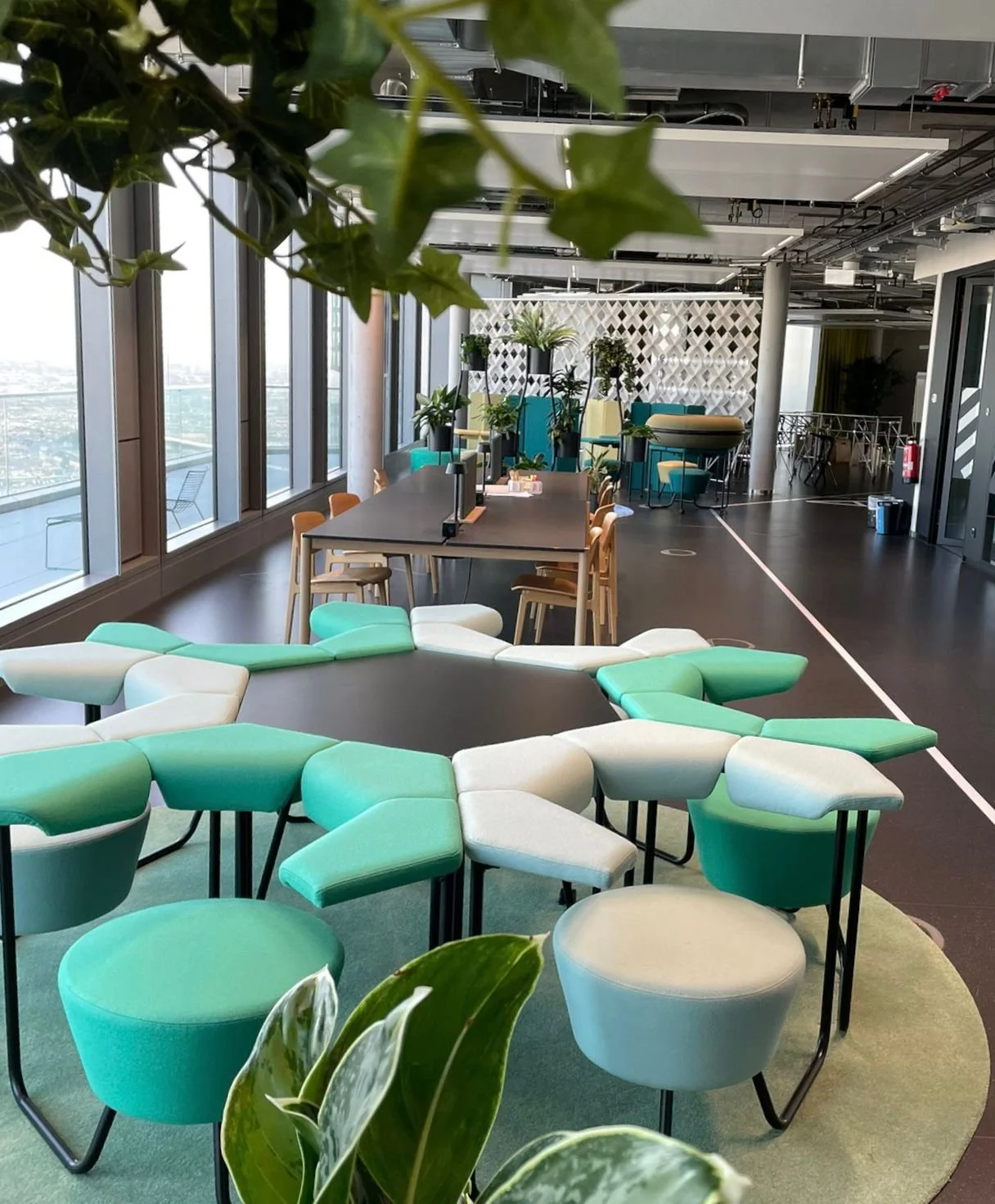 61436251-b83e-475c-a0c3-50d7cdcdcc0a (1).JPG