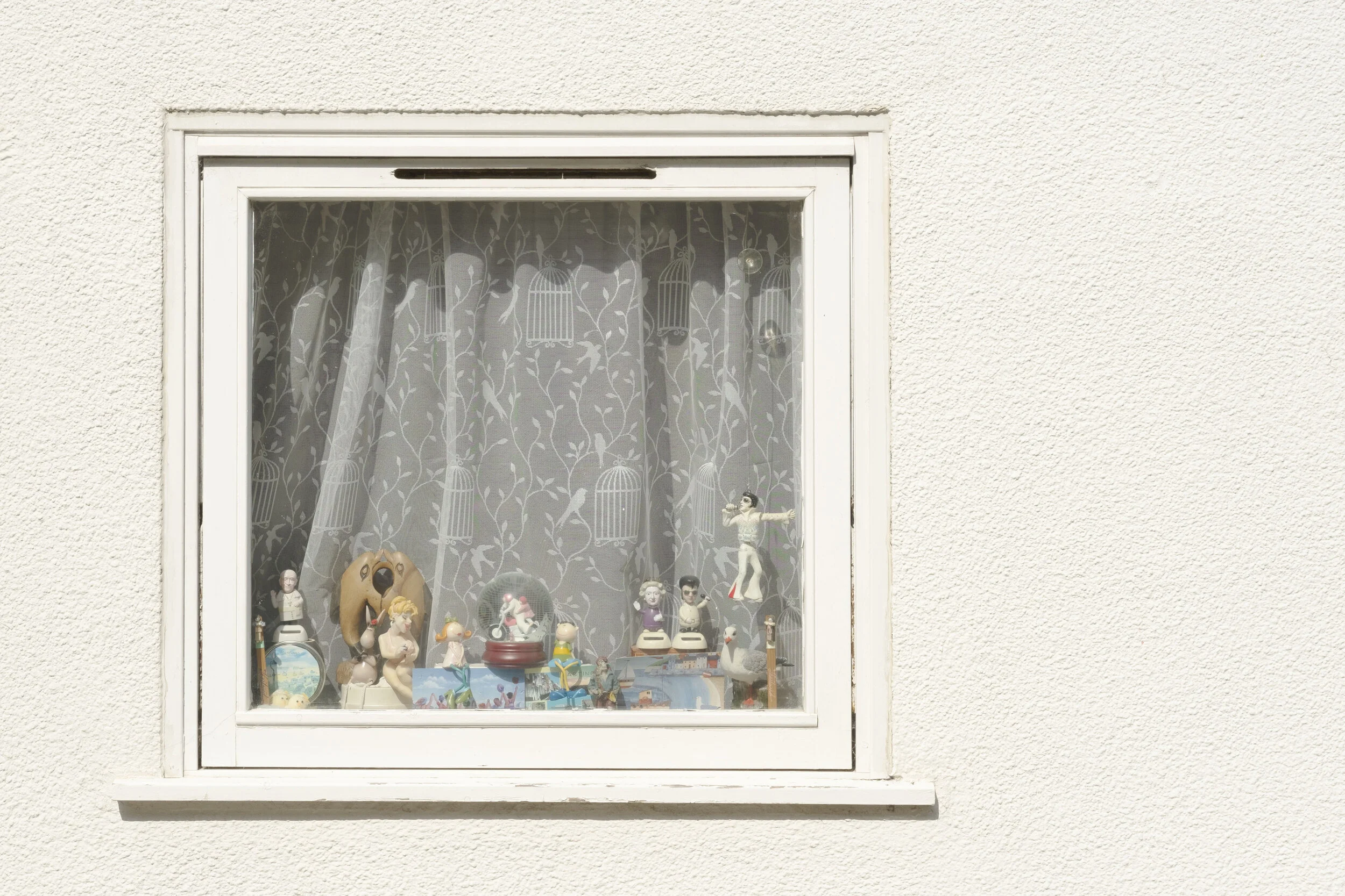 WINDOW.jpg