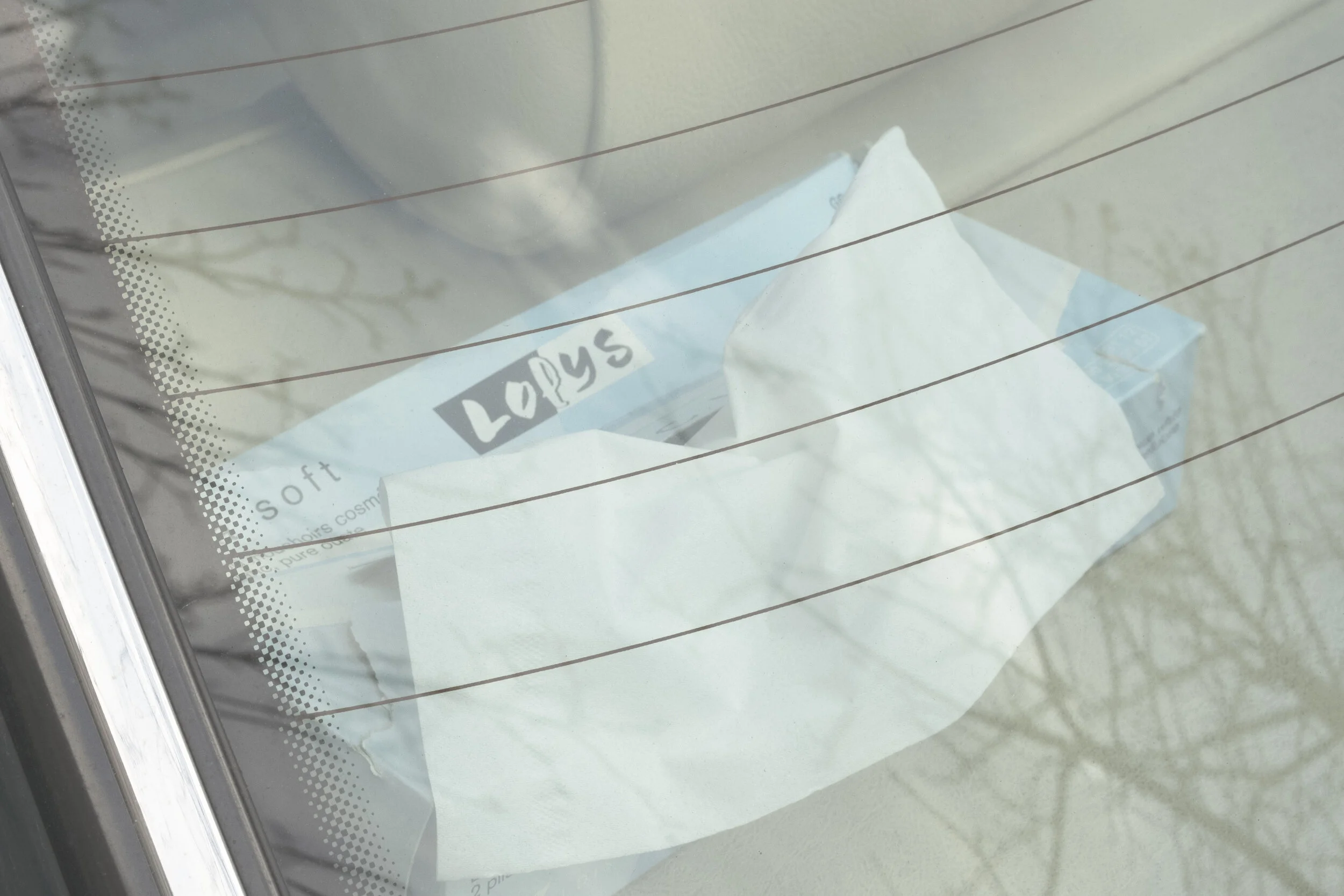 TISSUE.jpg