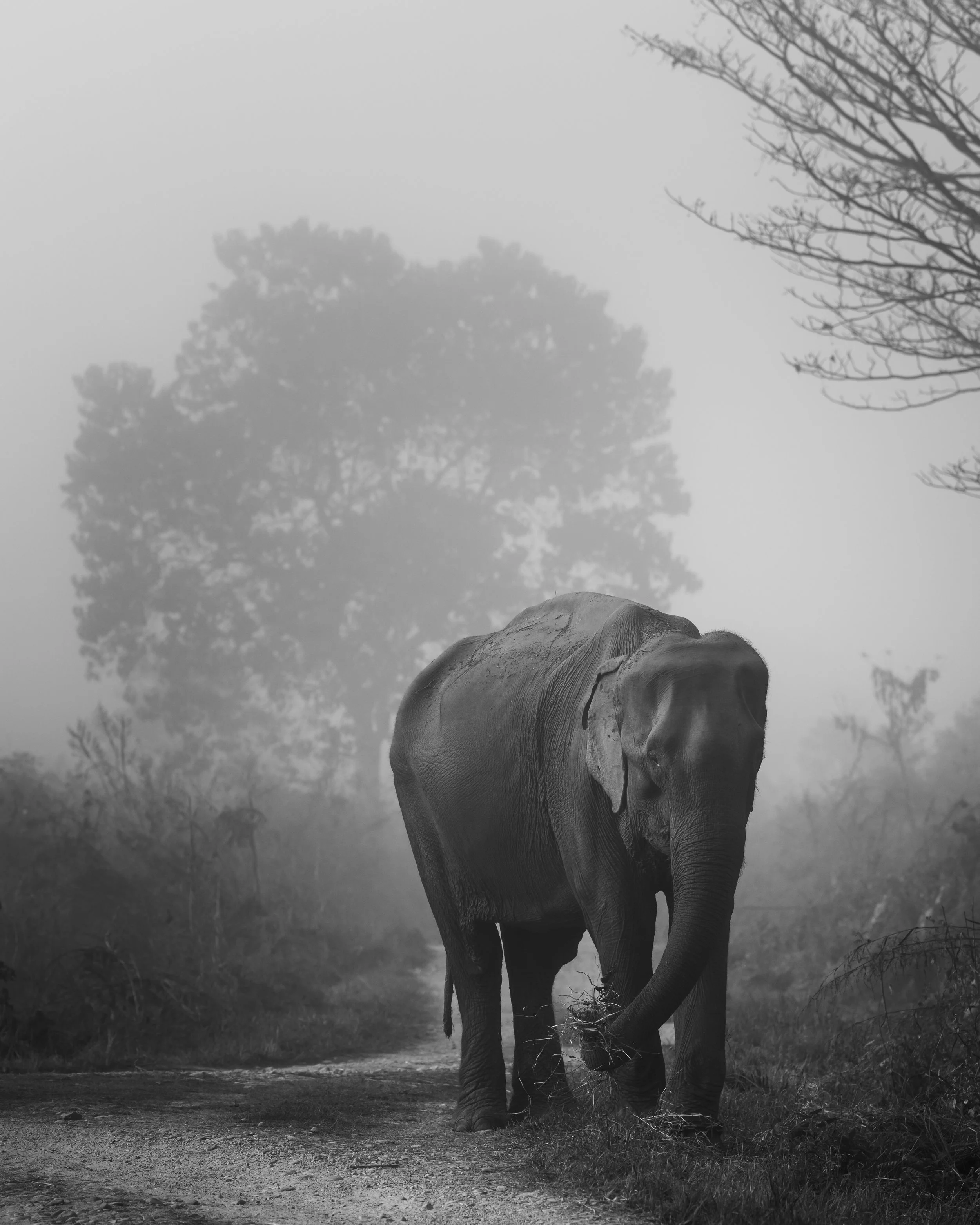 India-108.jpg