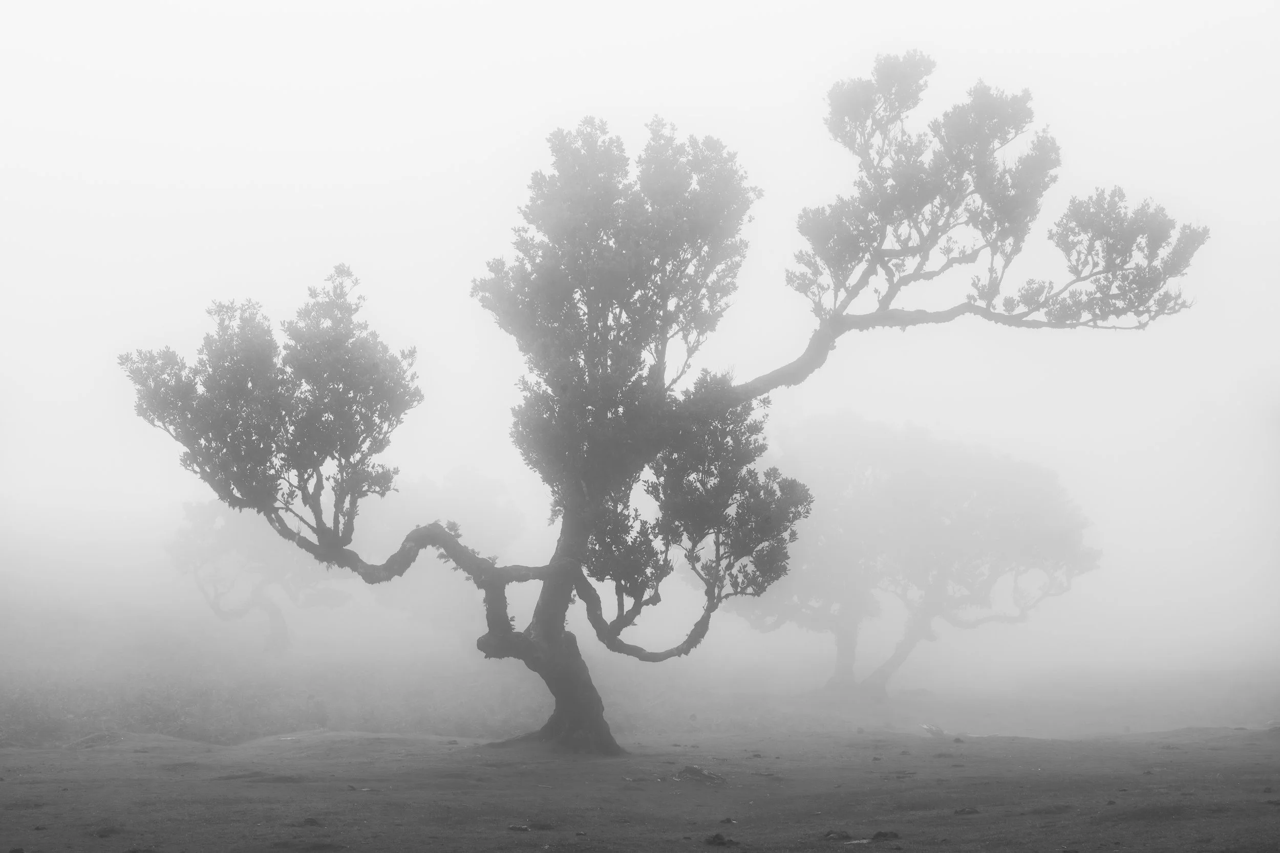 A7_4702_bw.jpg