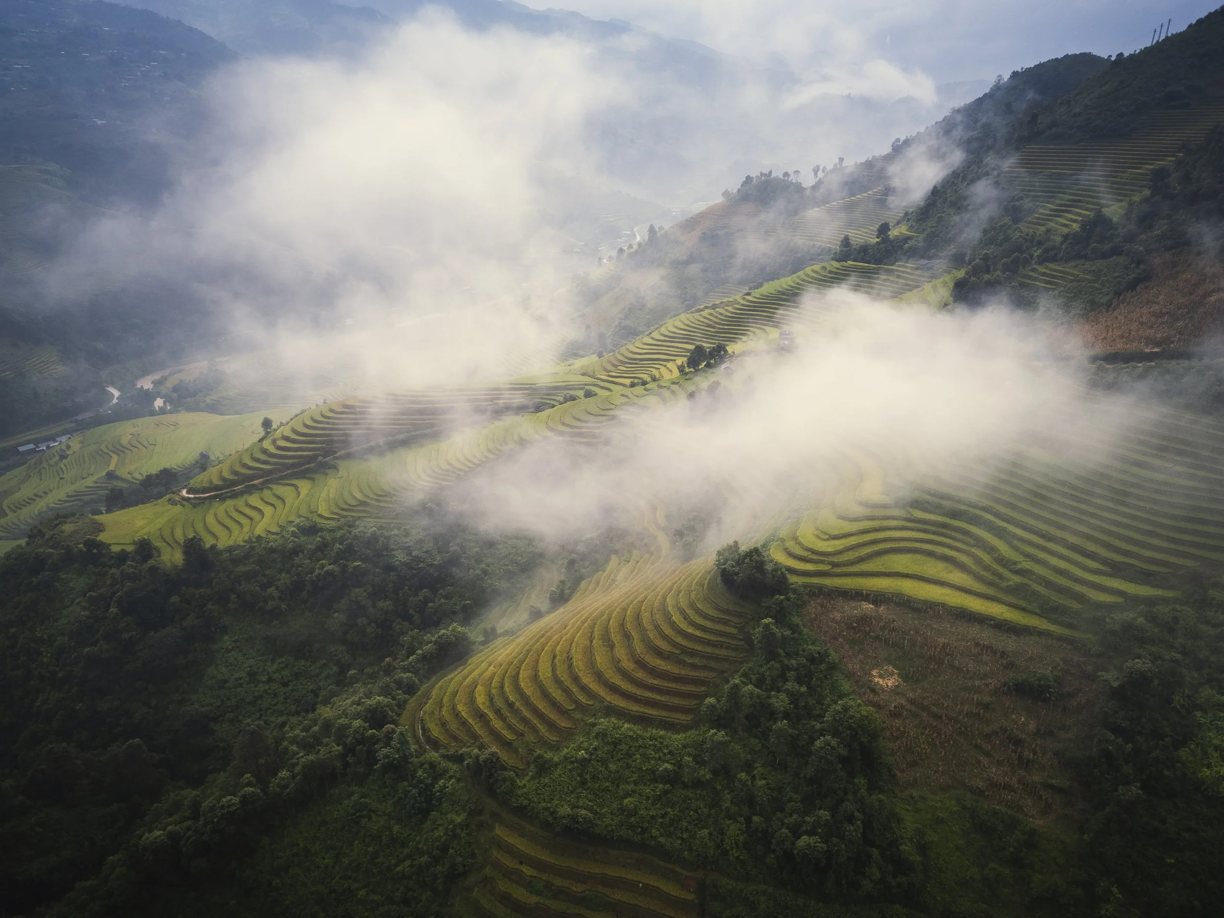DJI_0122.jpg