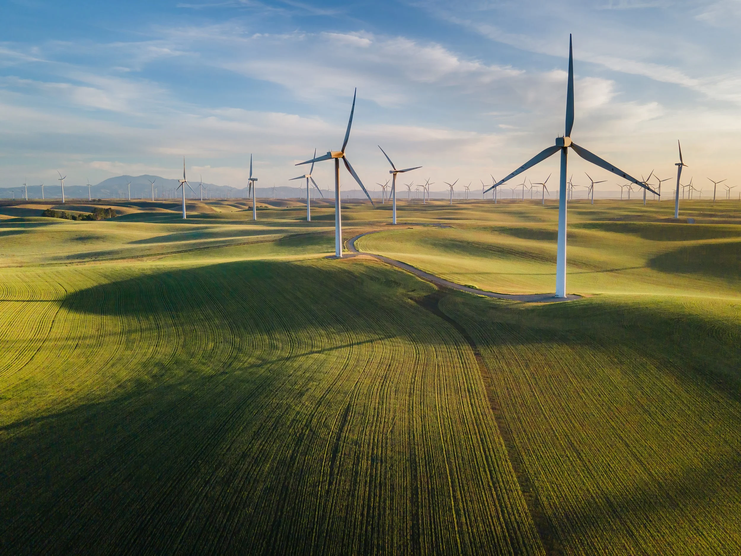 DJI_0313-Enhanced-denoise-standard.jpg