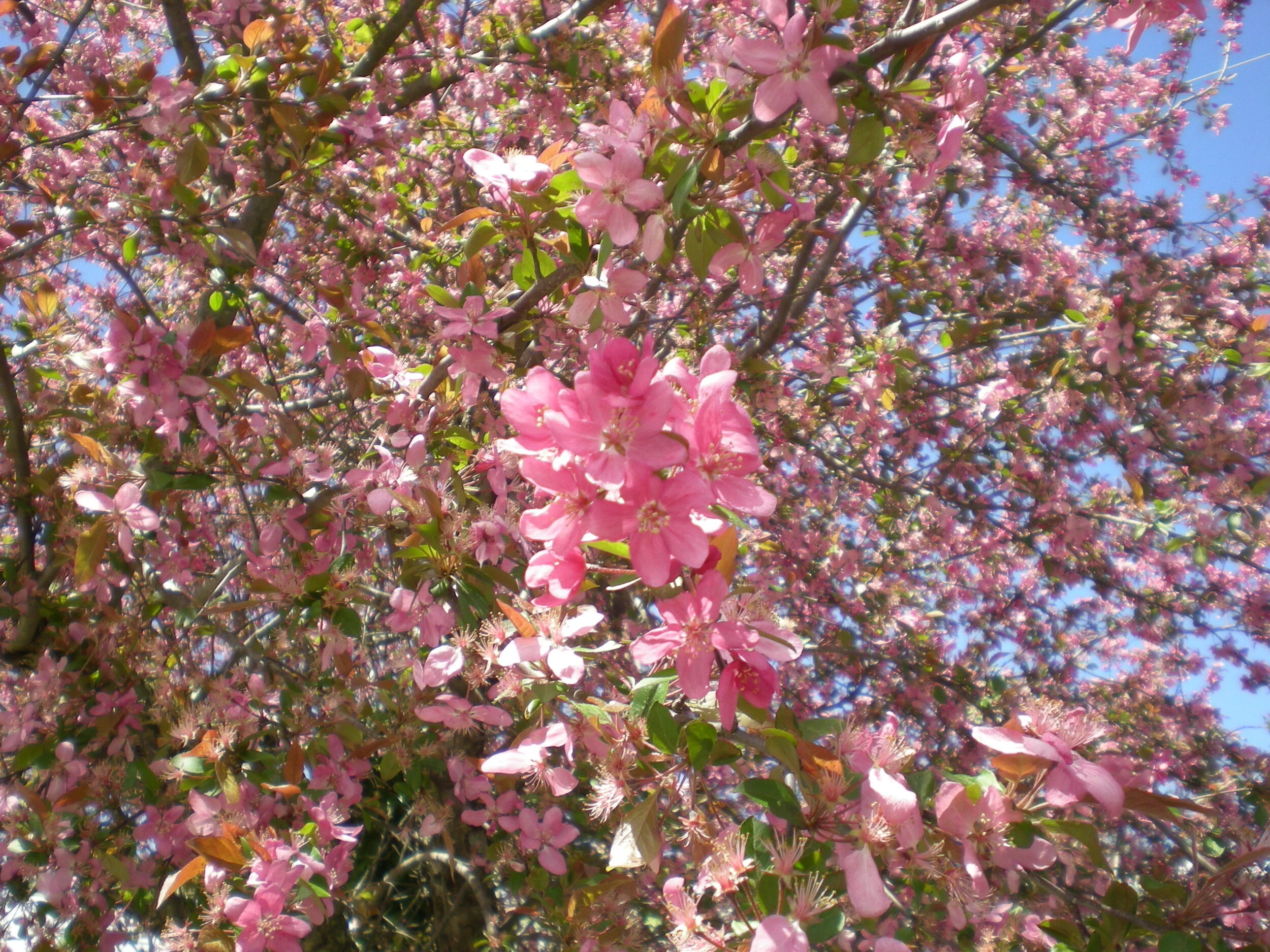 DSCN8245.JPG