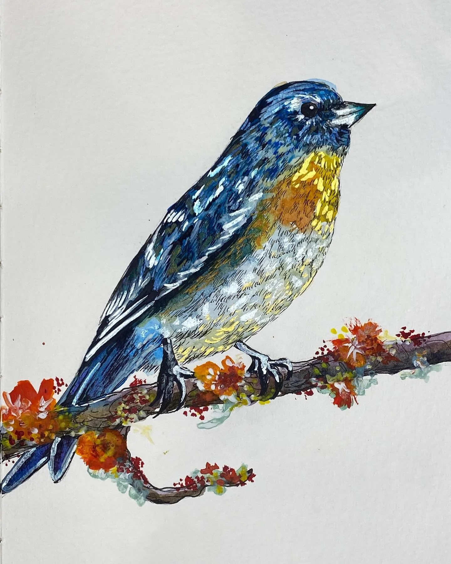 Finch