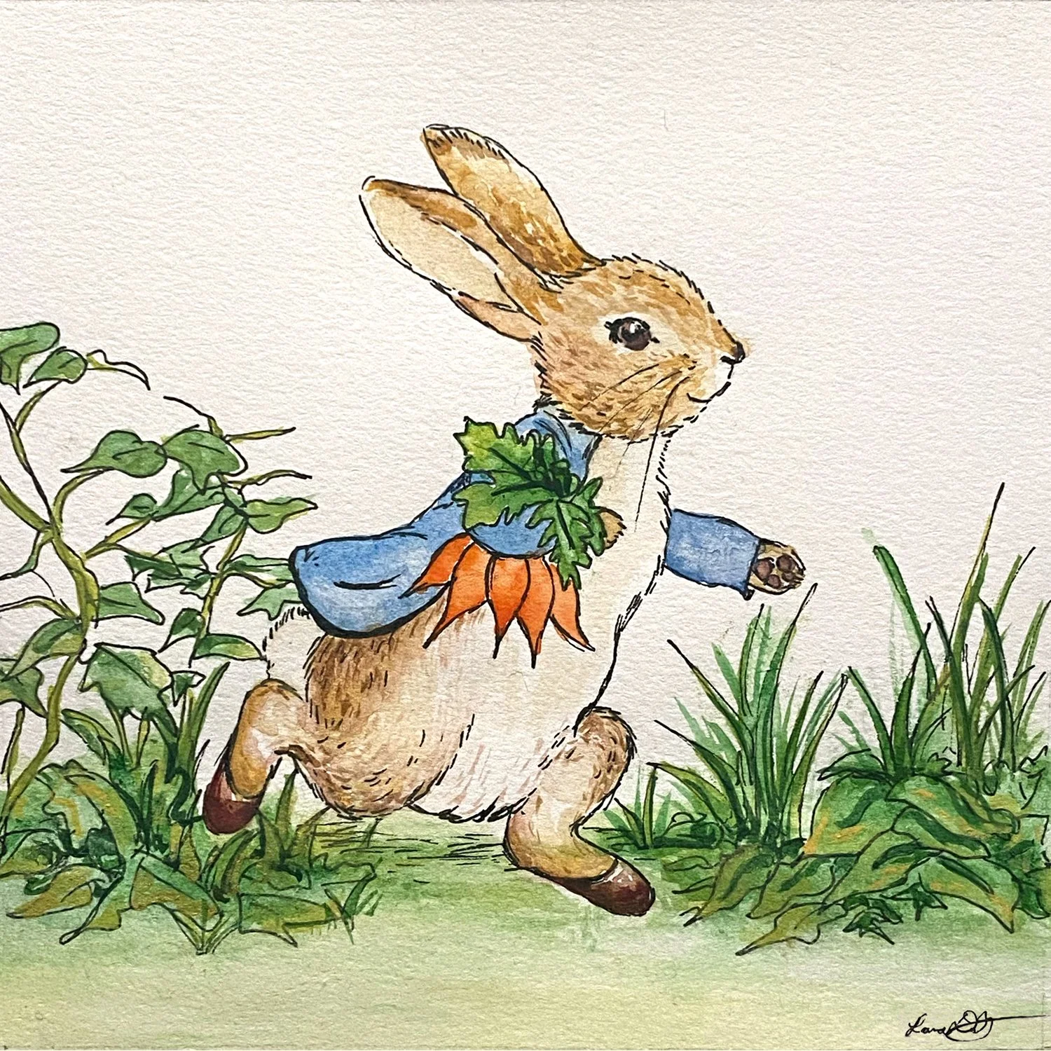 Peter Rabbit