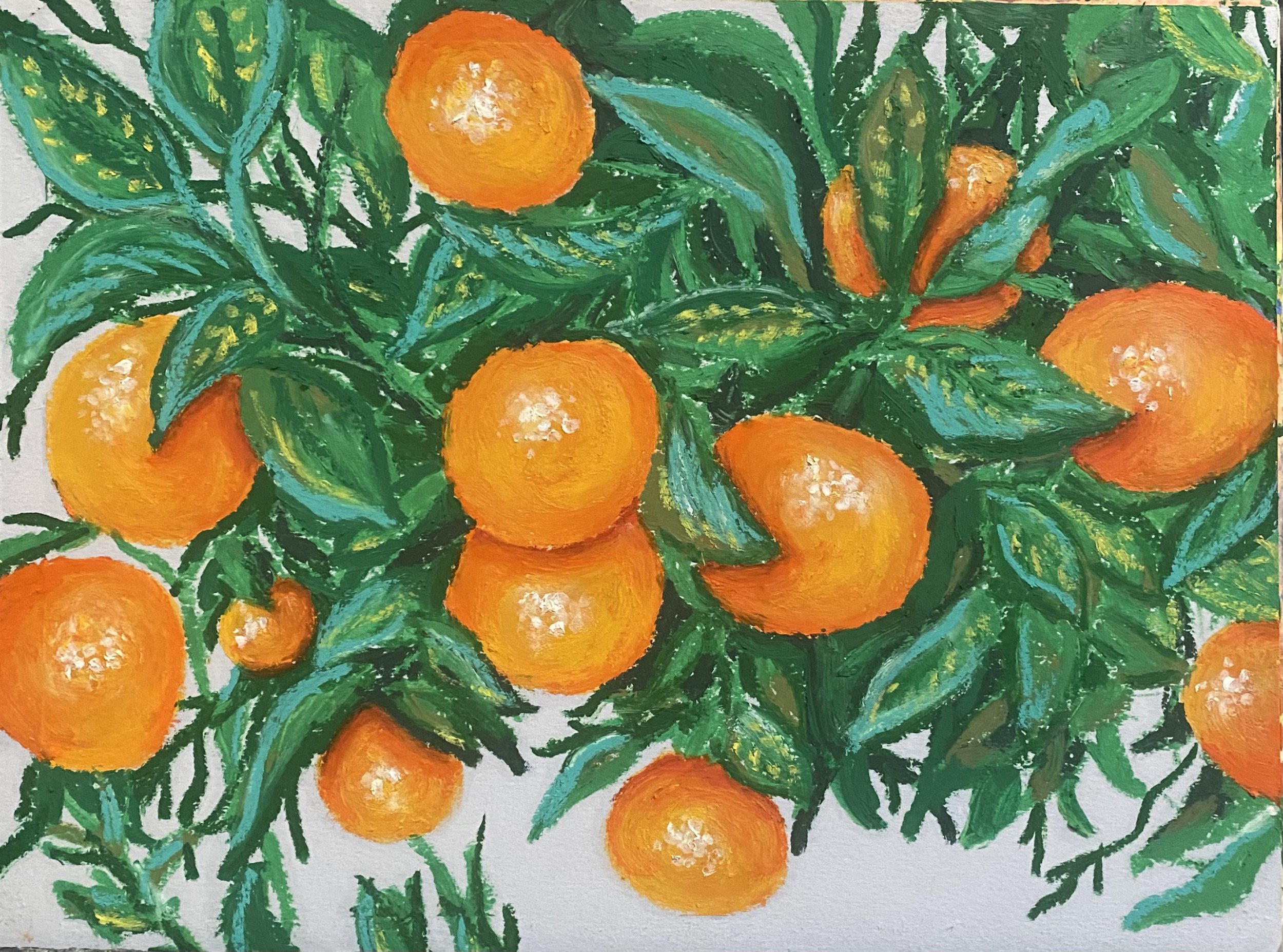 Orange Tree