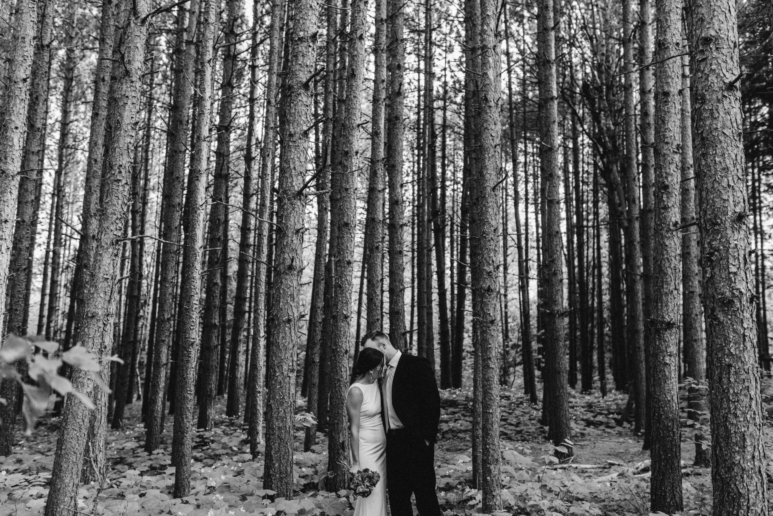 Janelle+Justin-SneakPeak-45.jpg