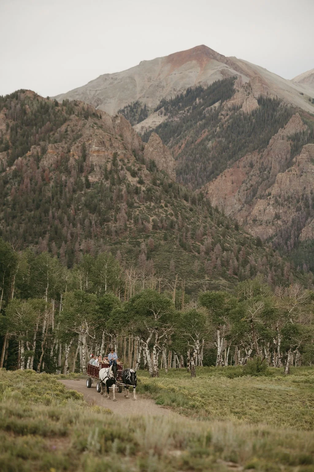 Carriage rides in Ouray, Colorado