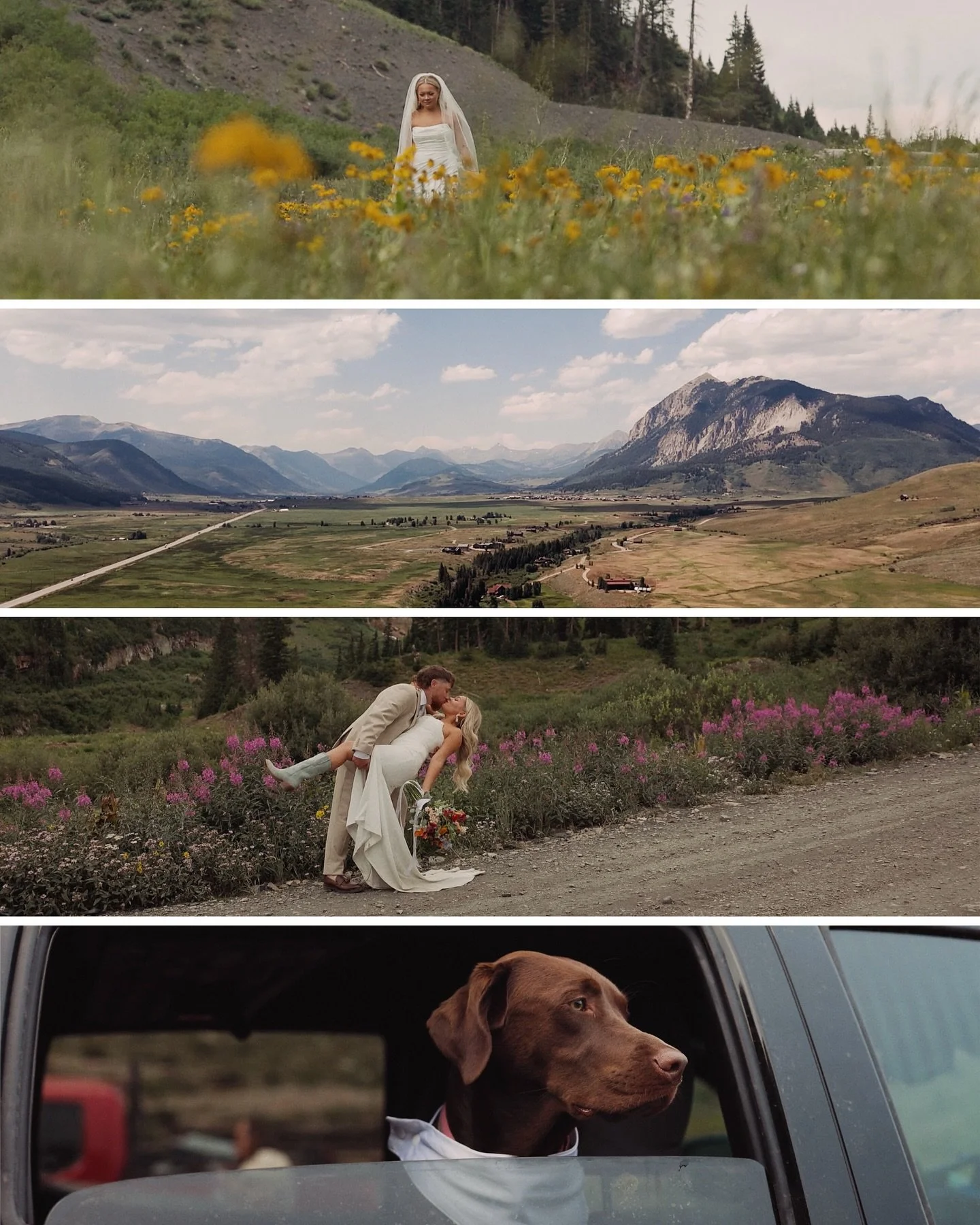 A few snap from our most recent video delivery and I&rsquo;m dying to go back to Crested Butte all over again. 

Someone get married there this summer and bring us with 😭🫶🏼✨

#crestedbutteelopement #crestedbuttewedding #coloradoelopement #colorado