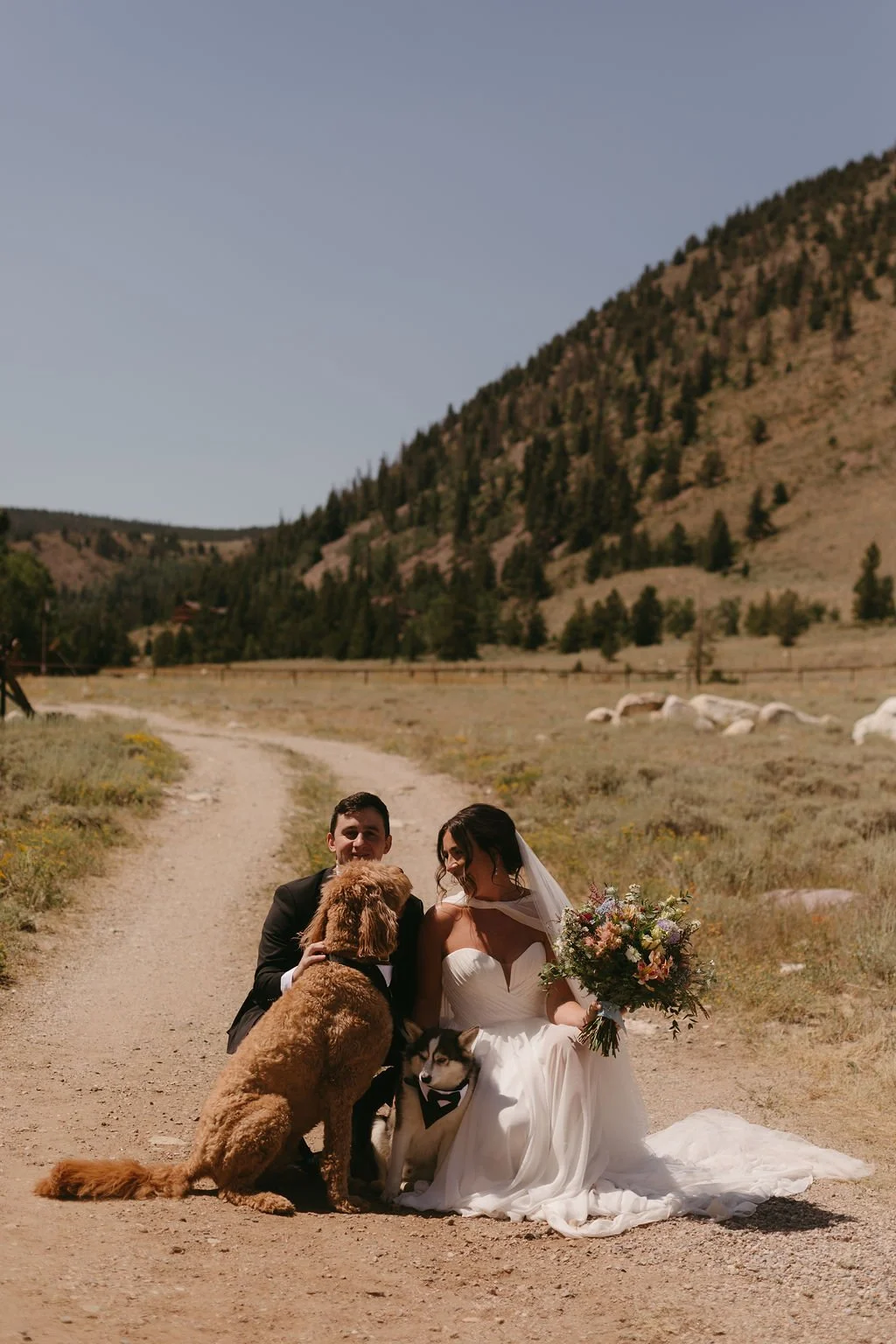 Dog-friendly elopement