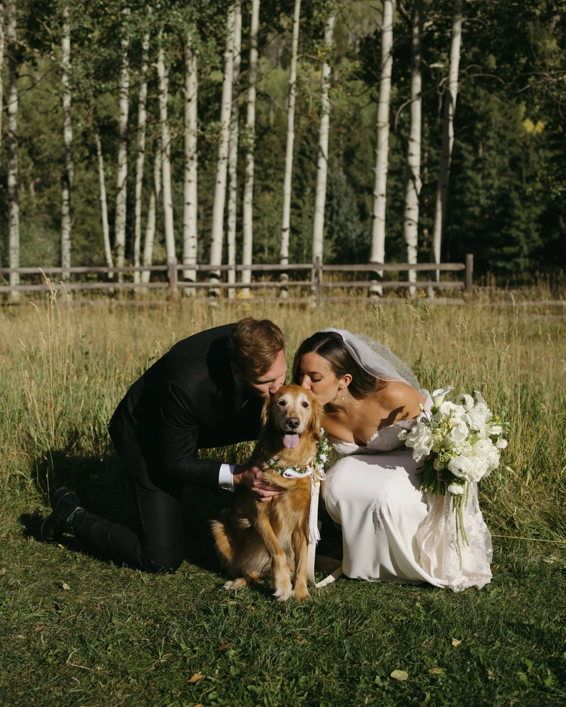 Just going to keep spamming you all with this wedding day because it was absolutely perfect in every possibly way 💛

Is Charlie 🐶 not the cutest little lady you ever did see?!

Vendor Team:
Photo &amp; Video: @chuckandshiloh
Venue: @tlazy7 ranch
Pl
