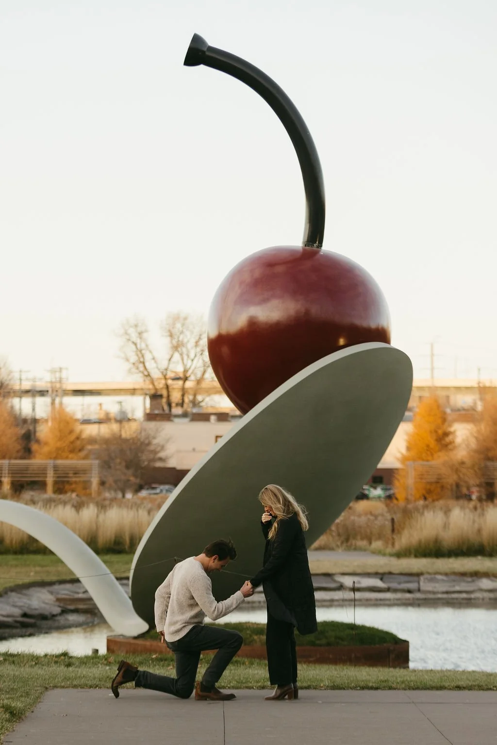 Where to Propose in Minneapolis