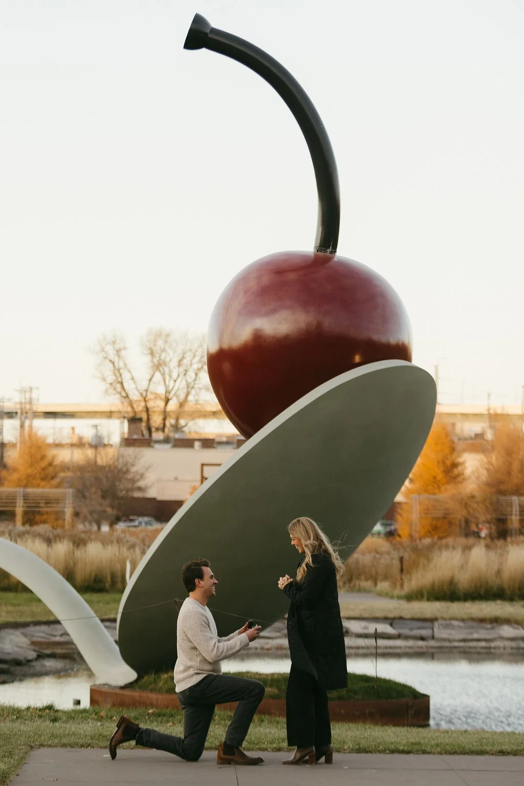 Minneapolis Proposal Locations