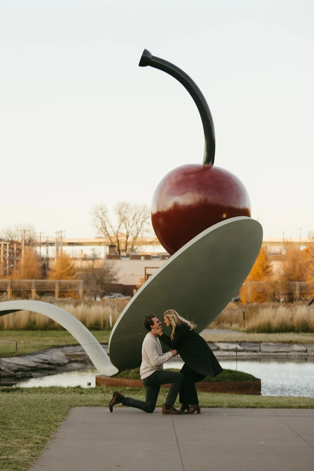 Twin Cities Proposal Spots