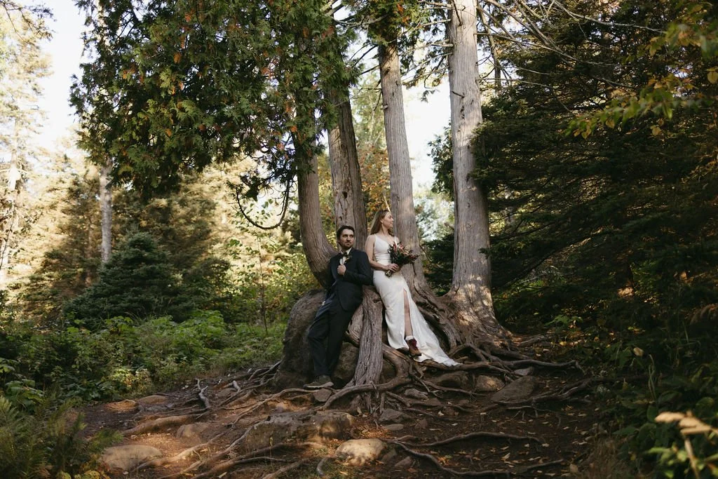 Newlyweds perch on a tree stump during their North Shore elopement at Tettegouche State Park.