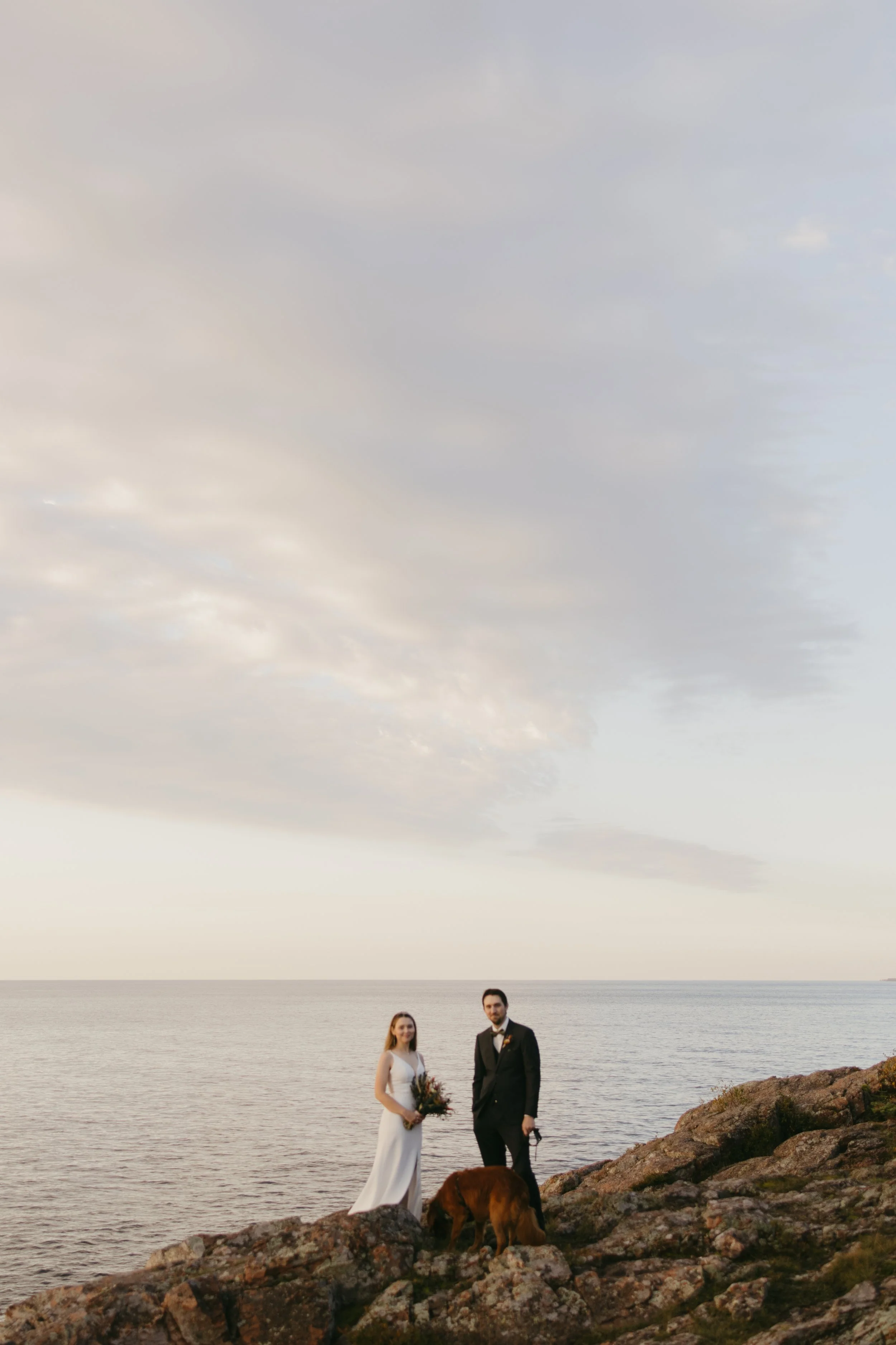 A bride and groom standing on rocks near the ocean with a dog, under a cloudy sky.