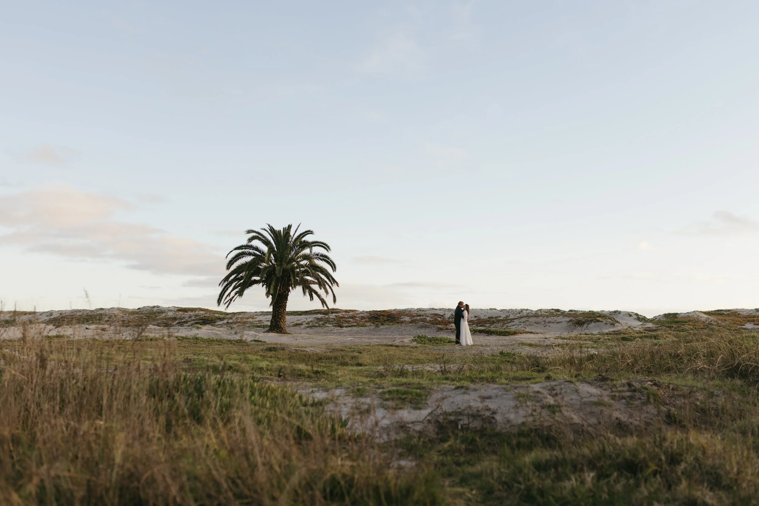 A couple dressed in wedding attire standing together in a natural landscape with a palm tree and dunes, under a cloudy sky.